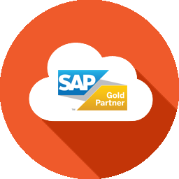 SAP Partner Managed Cloud | SAP Gold Partner